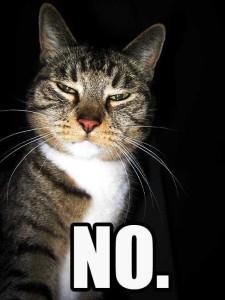 Cat looking unimpressed. Caption says, "no."